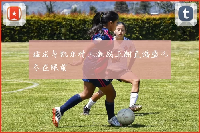 猛龙与凯尔特人激战正酣直播盛况尽在眼前